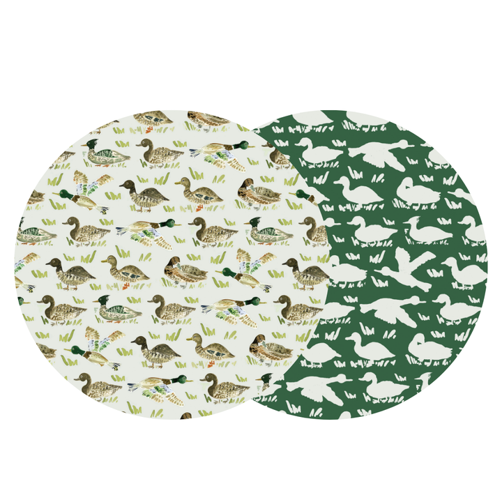 Duck, Duck Art Pop
