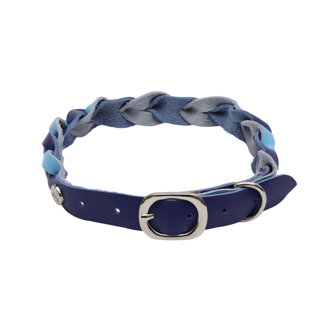 Pup Braided Leather Collar